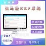 亚马逊仓储erp物流对接财物储值系统erp贴牌OEM定制开发